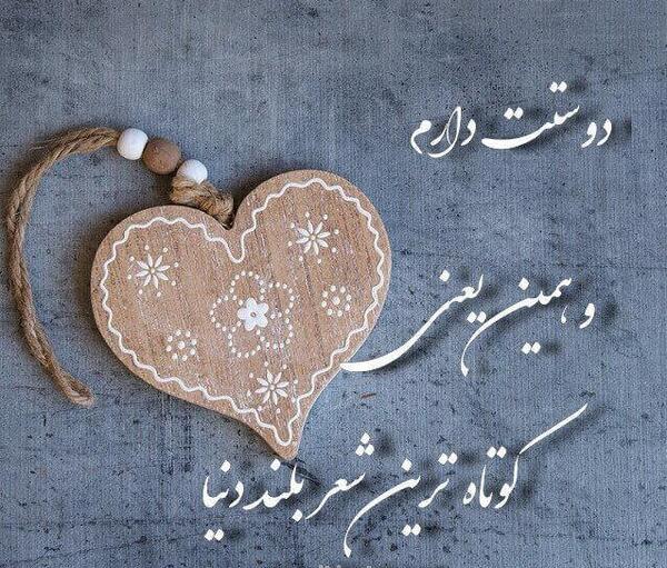 عکس نوشته حامد جان دوستت دارم