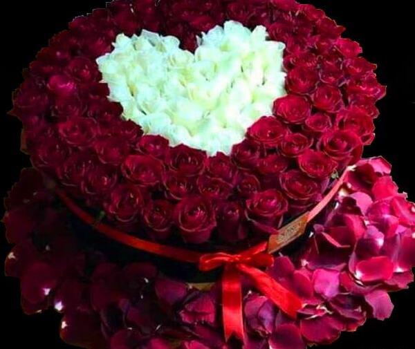 عکس لاکچری گل رز