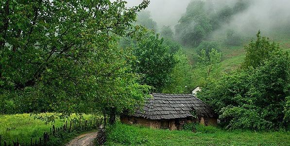 عکس تصاویر زیبای طبیعت شمال
