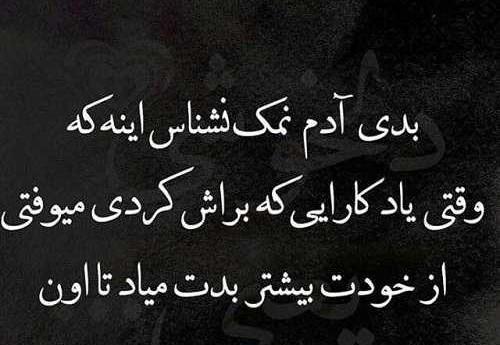 عکس نوشته نمک نشناسی