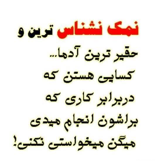 عکس نوشته نمک نشناسی