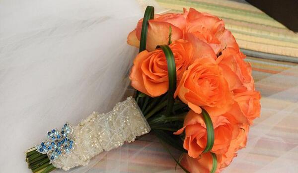 عکس گل رز پاییزی