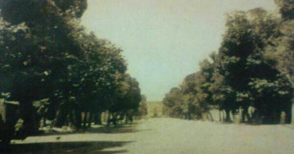 عکس راضیه رحمانی
