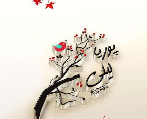 عکس نوشته لیلا و علیرضا