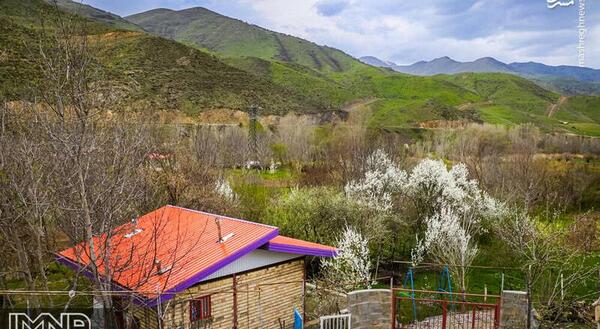 عکس طبیعت شمال در بهار