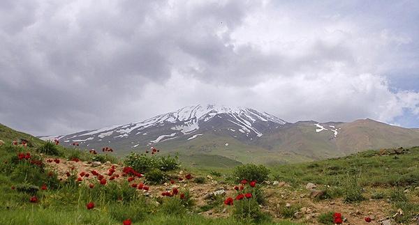 عکس طبیعت شمال در بهار