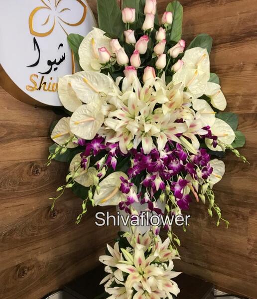 عکس گل شیوا