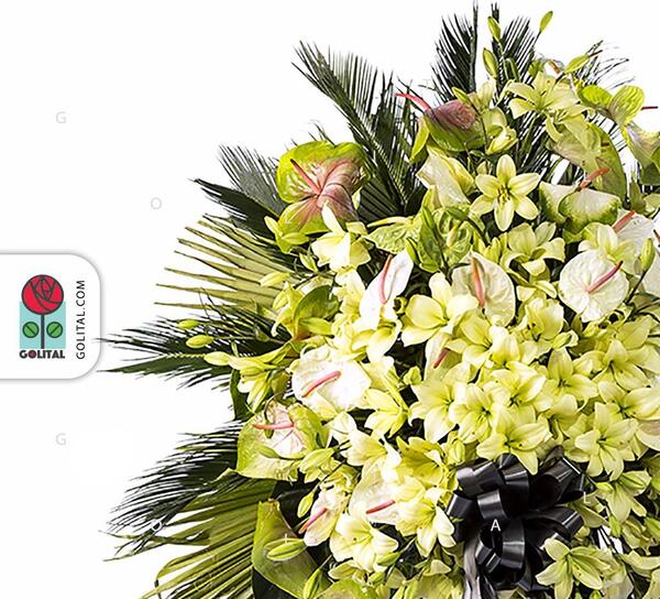 عکس گل شیوا