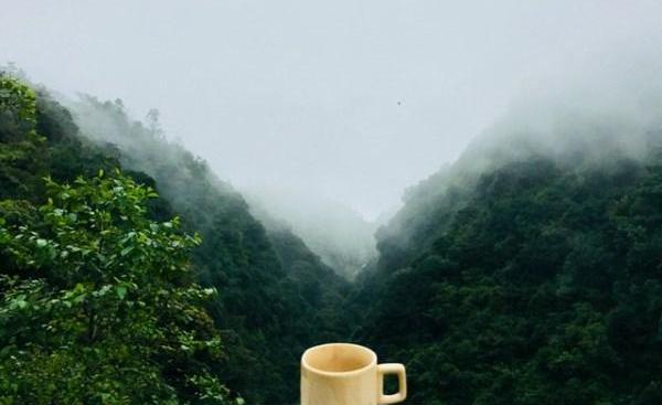 عکس باران قهوه