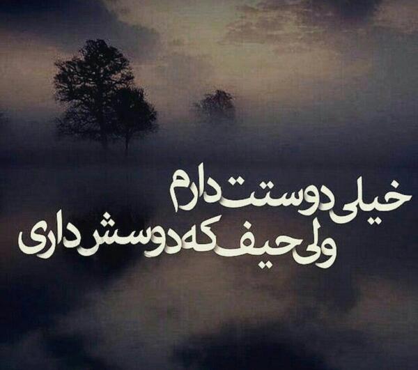 عکس نوشته من تو را دوست دارم و تو دیگری را