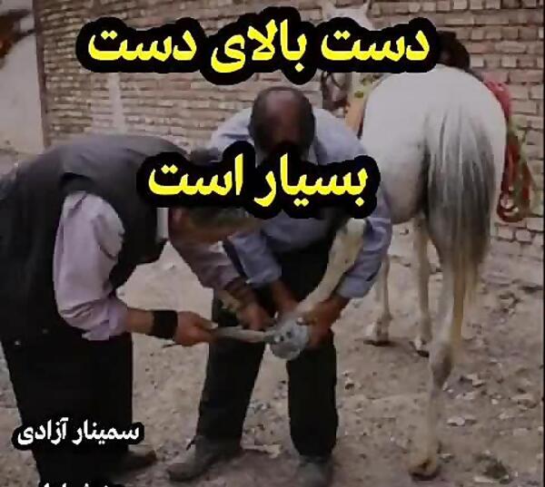 عکس ضرب المثل دست بالای دست بسیار است