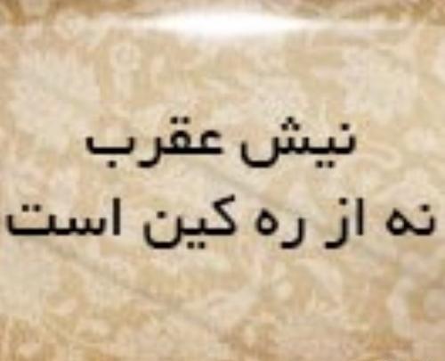 عکس ضرب المثل دست بالای دست بسیار است