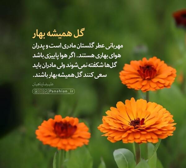 عکس گل های بهاری با کیفیت بالا