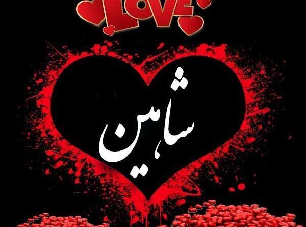 عکس نوشته با شاهین