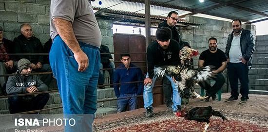 عکس رضا ده تن