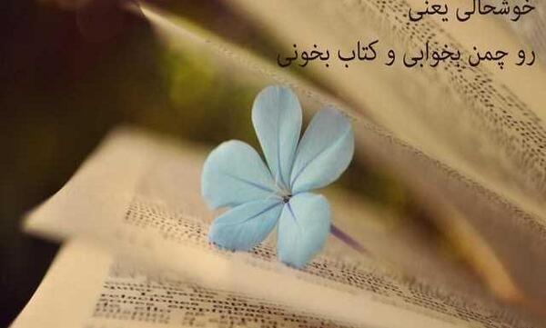 عکس نوشته شادی یعنی داشتن بهترین خاله دنیا