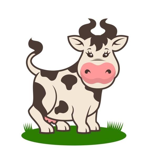 عکس گاو برای پروفایل
