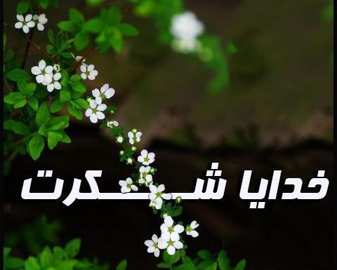 عکس نوشته خدایا به داده و نداده ات شکر