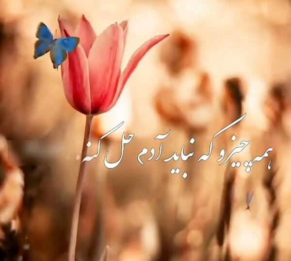 عکس نوشته خدایا به داده و نداده ات شکر