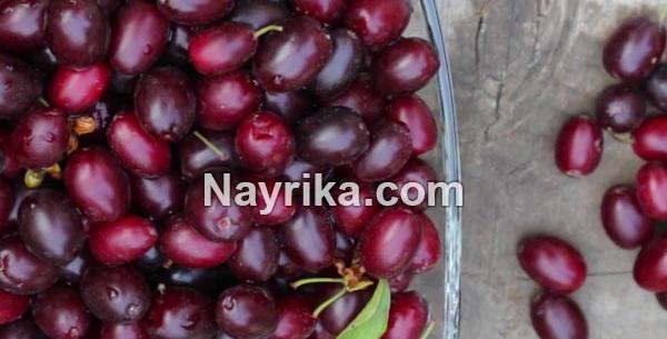 عکس زغال اخته تازه