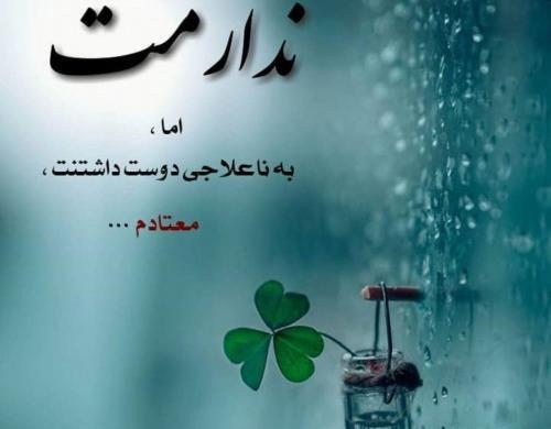 عکس نوشته هستی ولی ندارمت