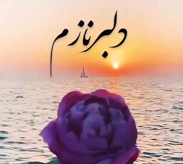 عکس خواننده دلبر نازم