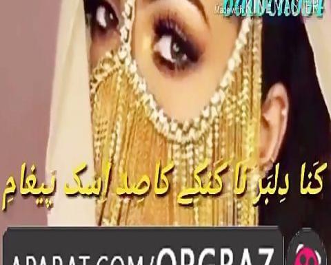 عکس خلیل براهویی