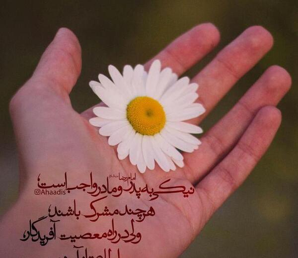 عکس حدیث پدر