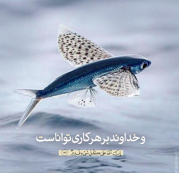عکس نوشته قدرت خدا