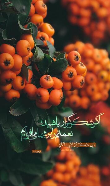 عکس نوشته حدیث شکرگزاری