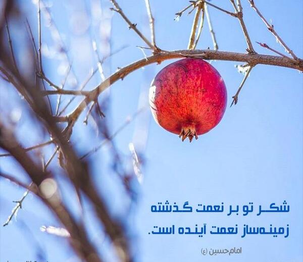عکس نوشته حدیث شکرگزاری