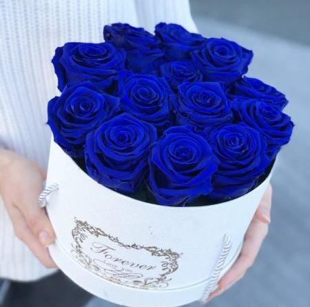 عکس تصاویر گلهای آبی زیبا