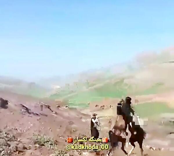 عکس اسب خرسان