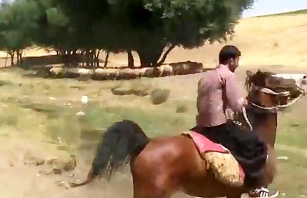 عکس اسب خرسان