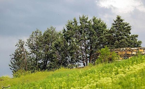 عکس ساده طبیعت