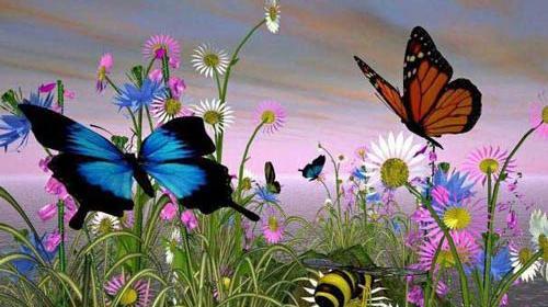 عکس های آرامش بخشی که تا بحال ندیدید