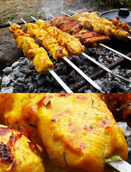 عکس غذا جوجه