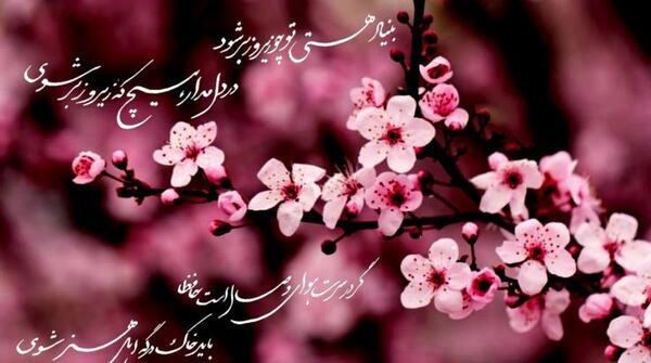 عکس نوشته بهاری مولانا