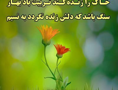عکس نوشته بهاری مولانا