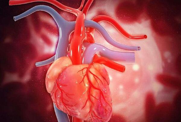 عکس قلب پزشکی