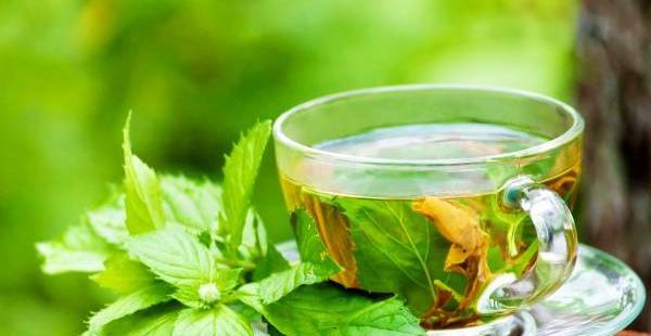 عکس چای پونه