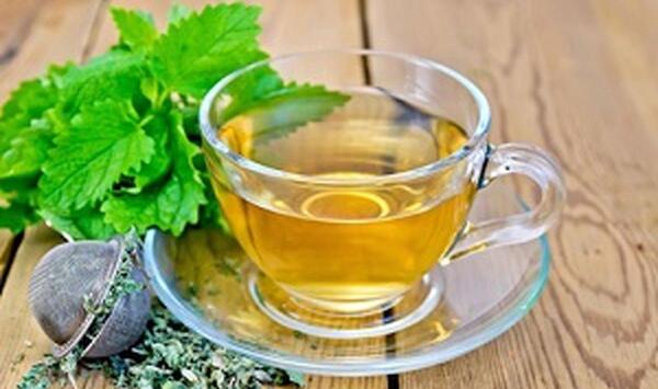 عکس چای پونه