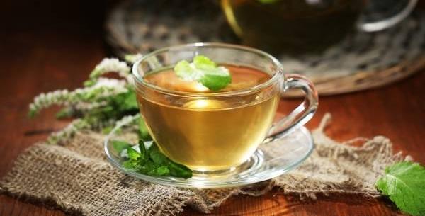 عکس چای پونه