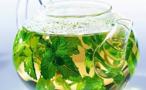 عکس چای پونه