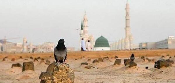 عکس ضریح قبرستان بقیع