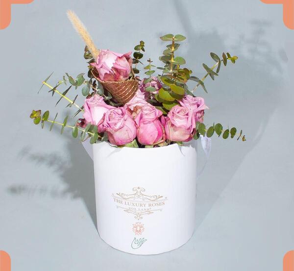 عکس گل رز یاسی