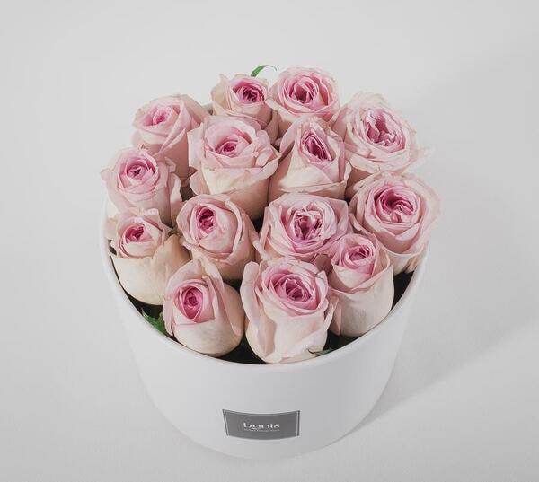 عکس گل رز یاسی
