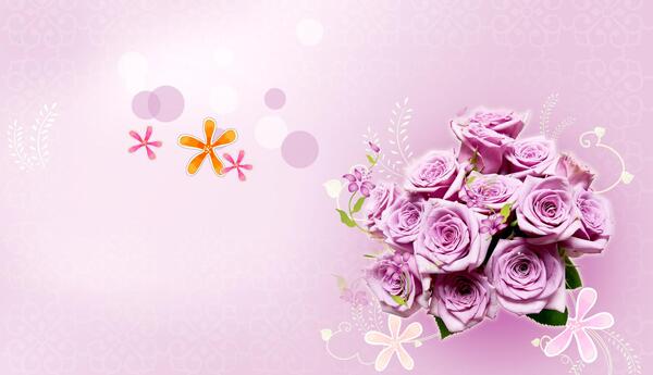 عکس گل رز یاسی