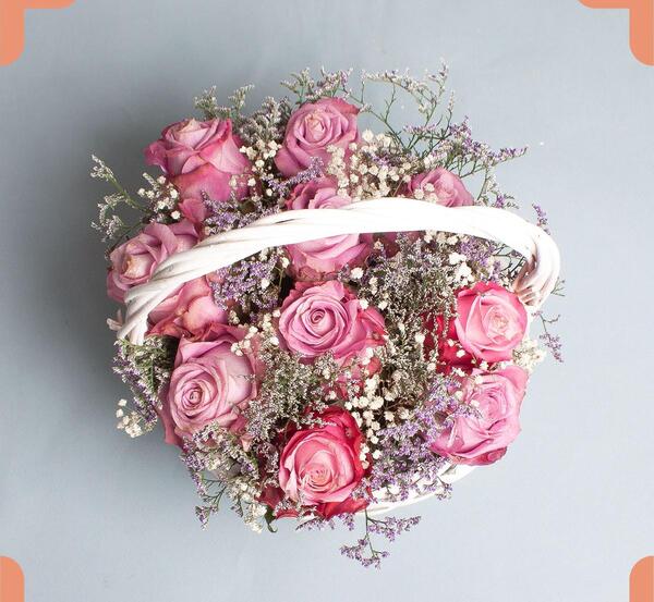 عکس گل رز یاسی