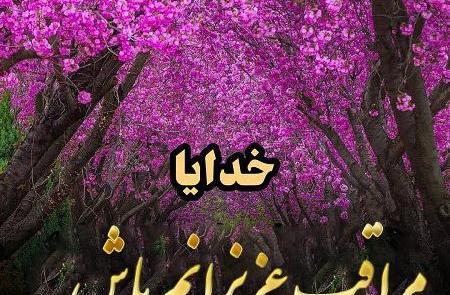 عکس خدایا عزیزانم را حفظ کن